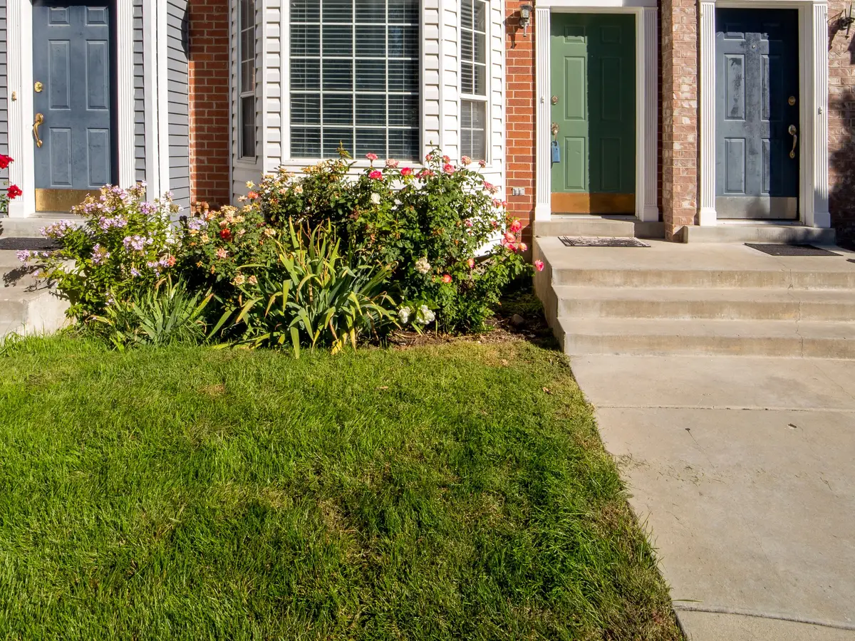 A small green lawn and a concrete walk in front of attached townhouses with brick entries and flower beds