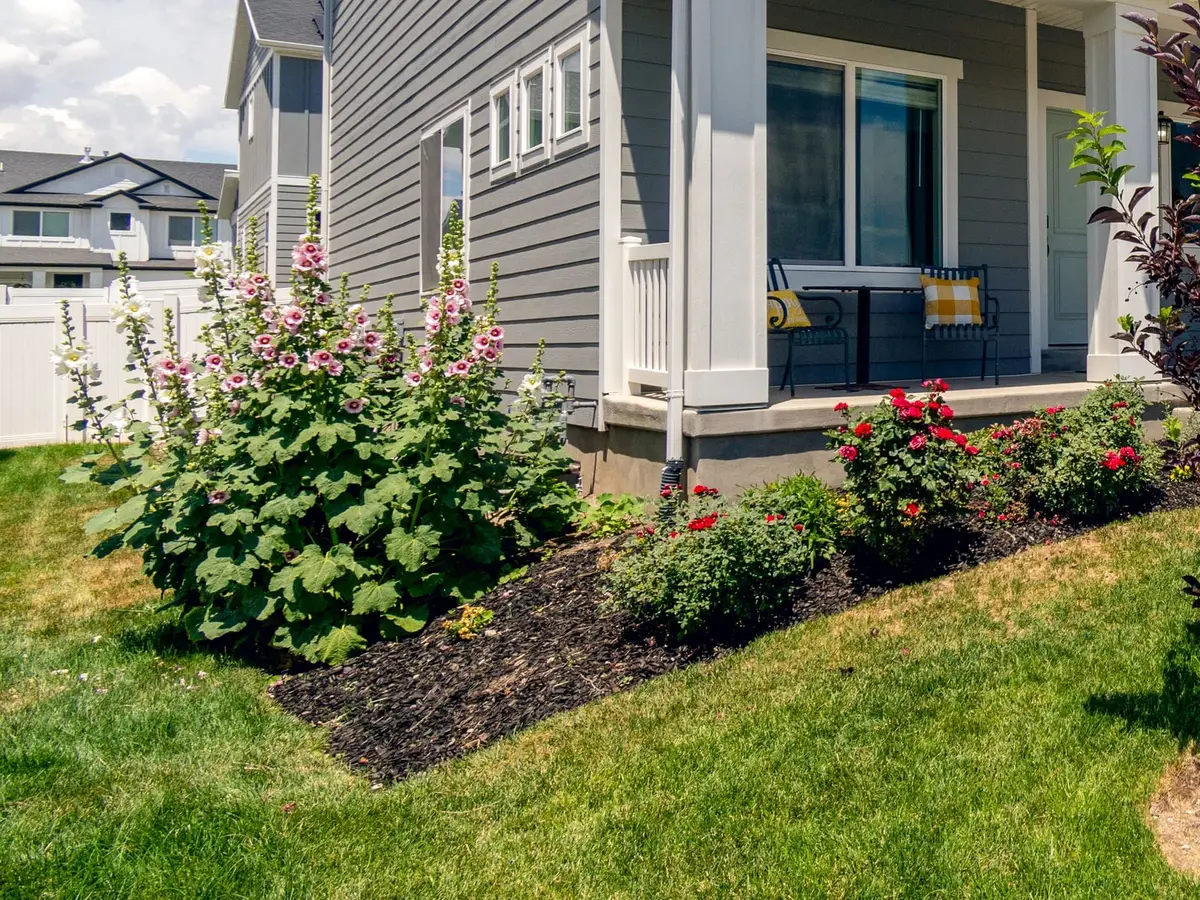 A green front lawn with hollyhocks and roses beside a gray house porch under a blue sky