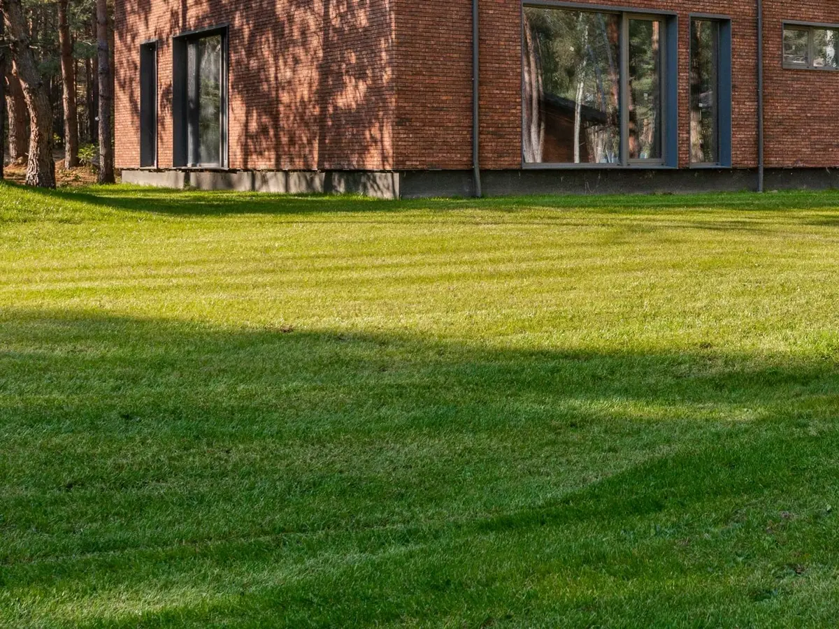 A striped green lawn beside a brick house among pines