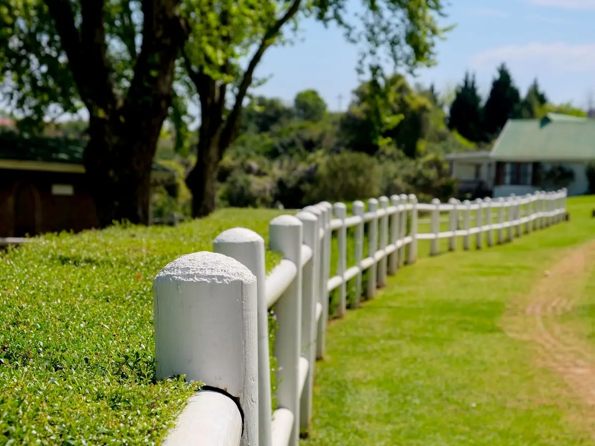 A white rail fence beside a green lawn, with trees and a house under a blue sky